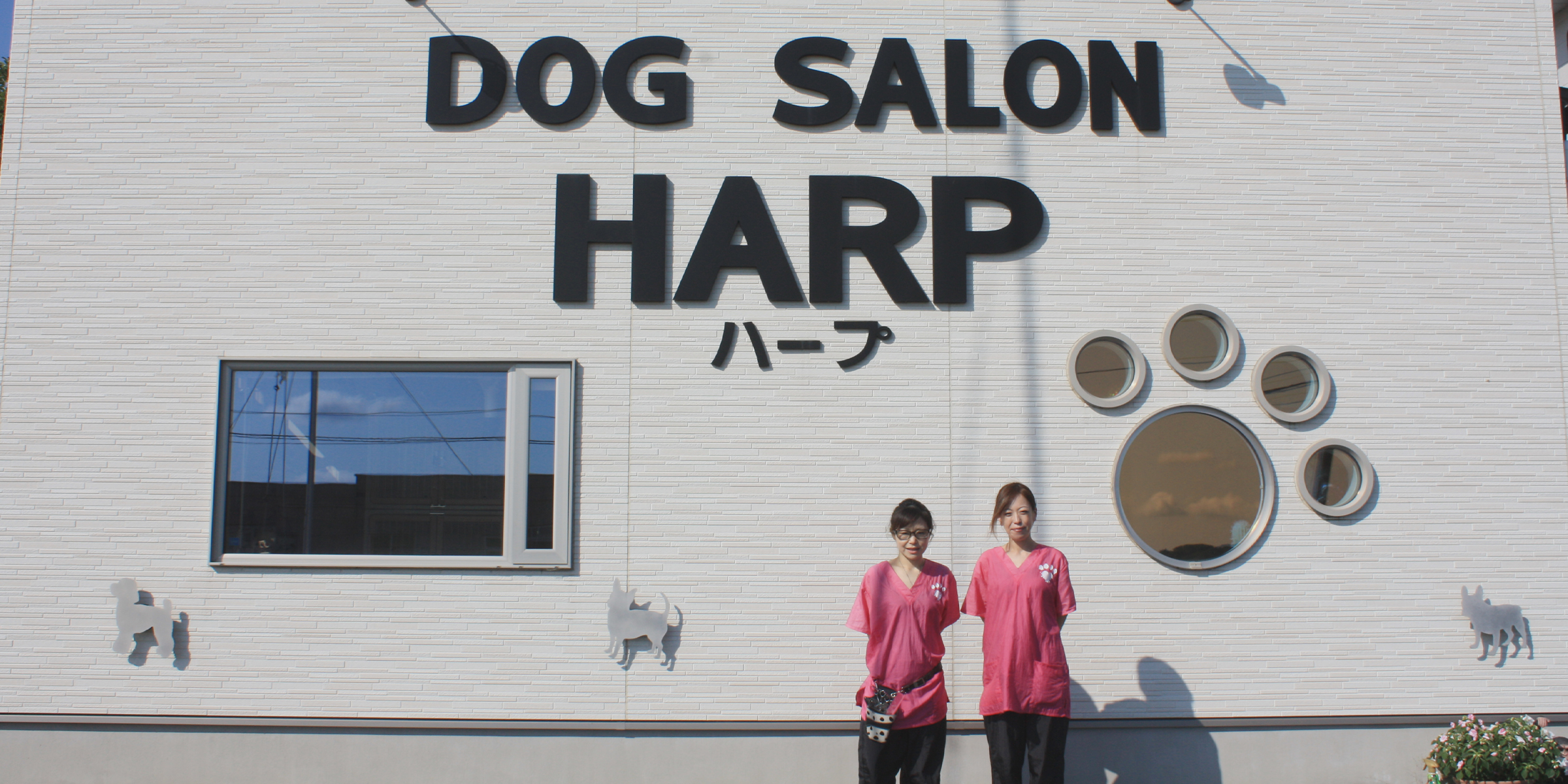 DOG SALON HARP