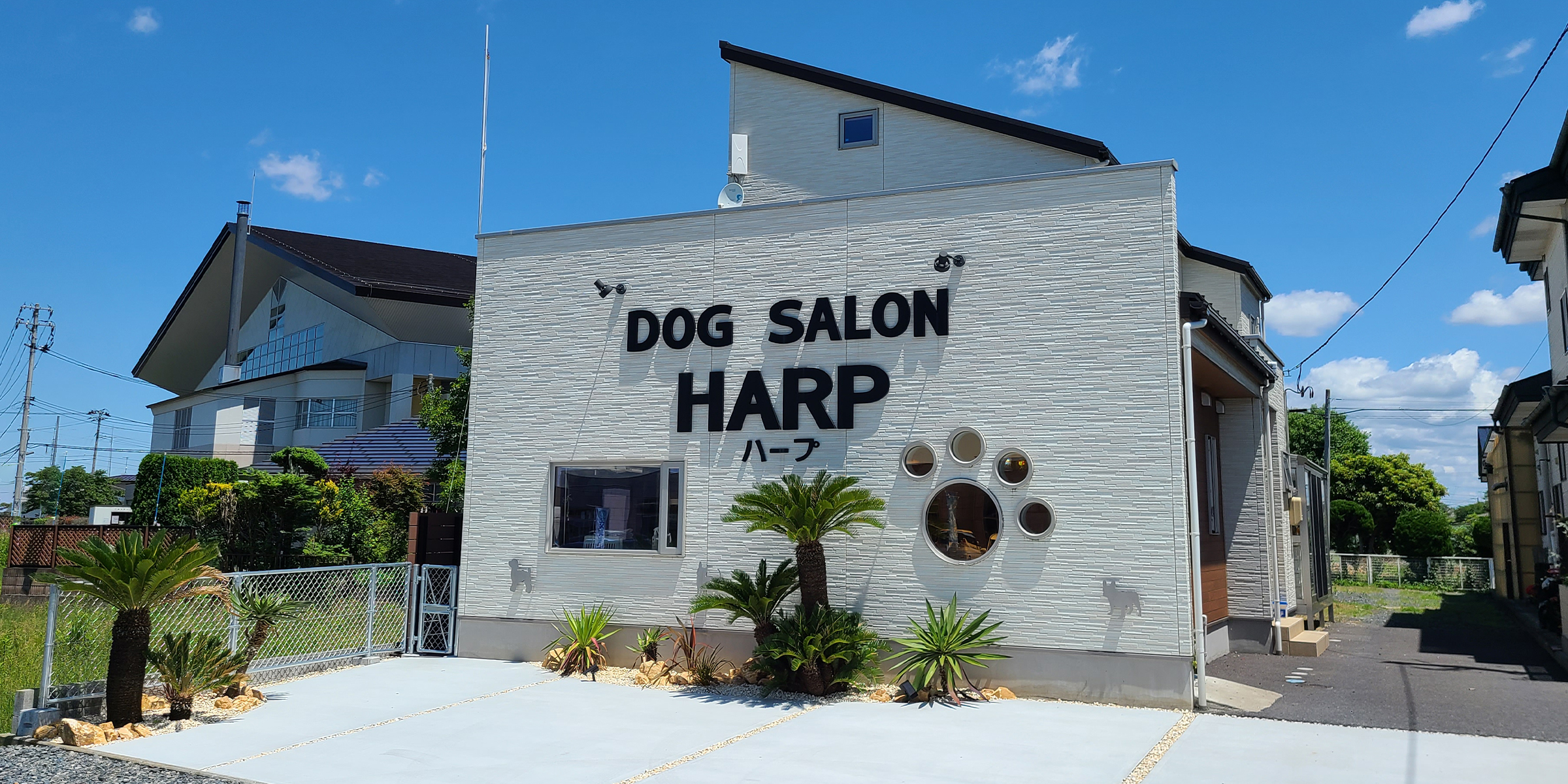 DOG SALON HARP